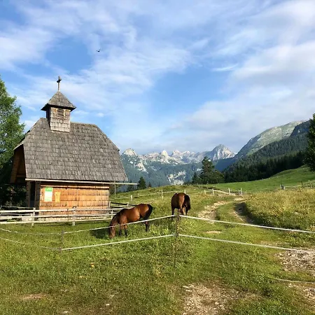 Vikendica House Franc *